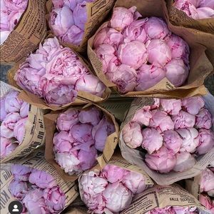 Meet your Posher, Luisa